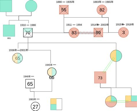 家庭圖關係線|附錄 9 製作家系圖(Genogram)